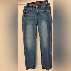 Democracy Classic Blue Straight Leg Jeans